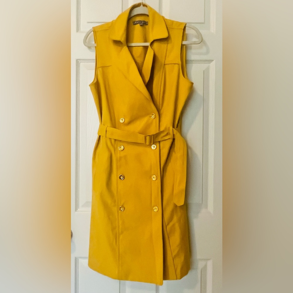 Sharagano Dress